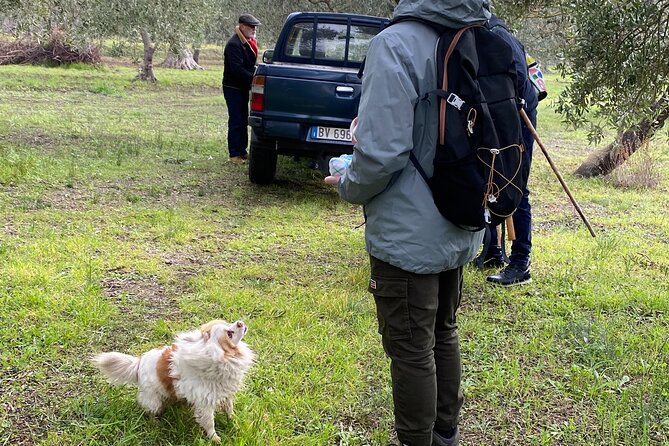 Food and Wine Tour Between the Patriarchs Olives and the Oil Temples - Pregnancy Recommendations