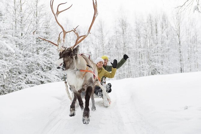 Forest Trail Reindeer Safari - Clothing and Gear