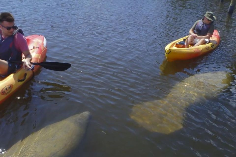 Fort Myers: Guided Kayak or SUP Tour in Pelican Bay - Reserving Your Tour