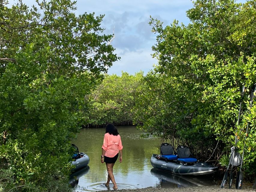 Fort Pierce: 2-hr Jungle Tour at Prehistoric Preserve in FL - Encounter With Marine Life