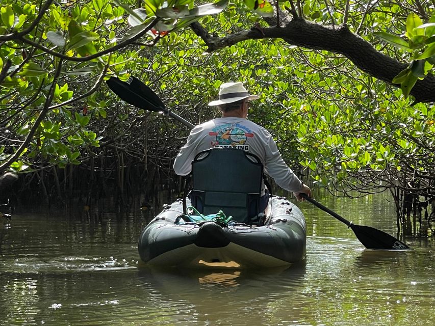 Fort Pierce: 6-hr Mangroves, Coastal Rivers & Wildlife in FL - Important Information