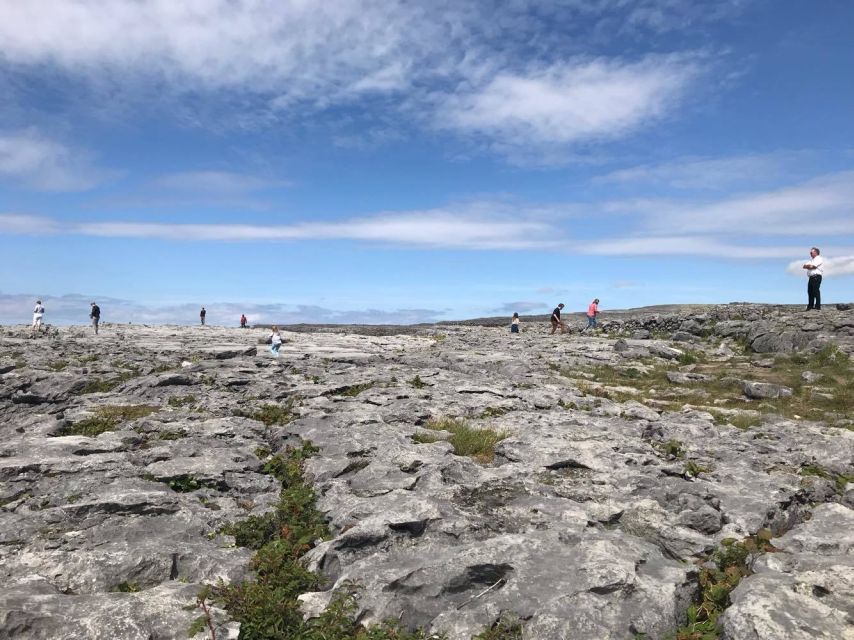 Four-Day Tour of the Southern and Western Coast: Ireland - Meeting Point and Check-In