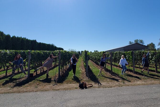 Fraser Valley Wine Tour With a Light Lunch From Vancouver - Transportation and Accessibility