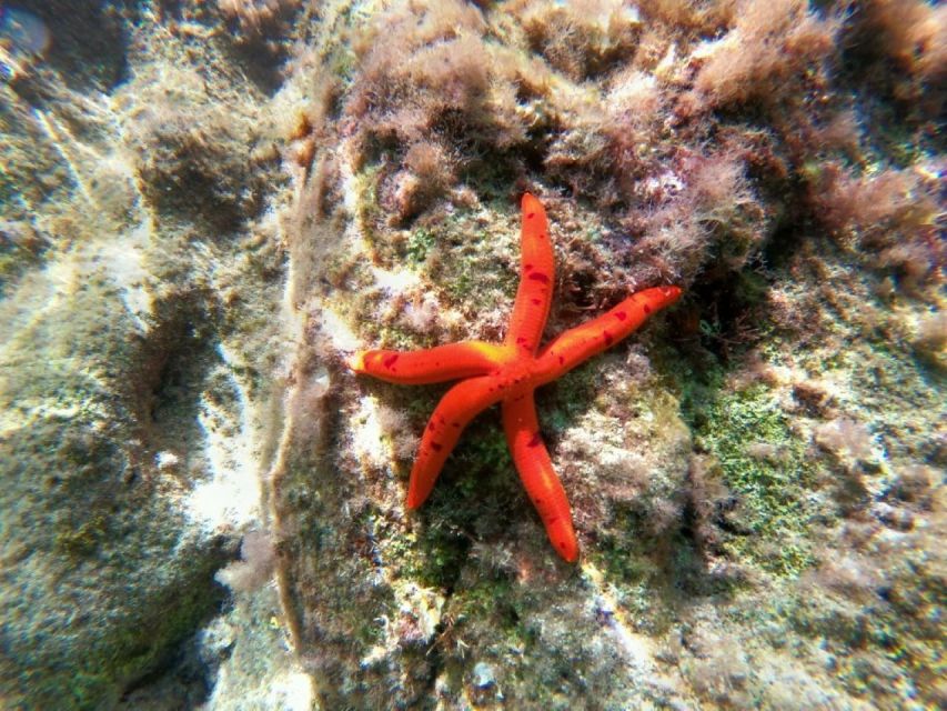 From Agios Ioannis Beach: Kayak Day Trip to Papanikolis Cave - Included Amenities