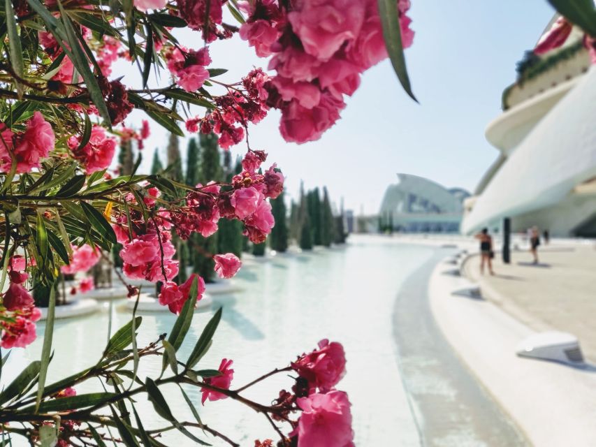 From Alicante: Valencia Full-Day Guided Tour - Discover Valencias History