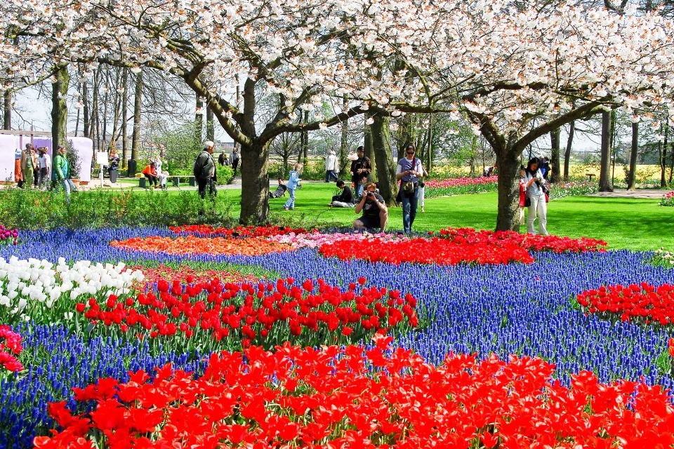 From Amsterdam: Keukenhof Flower Park Transfer & Ticket 2025 - Tour Logistics