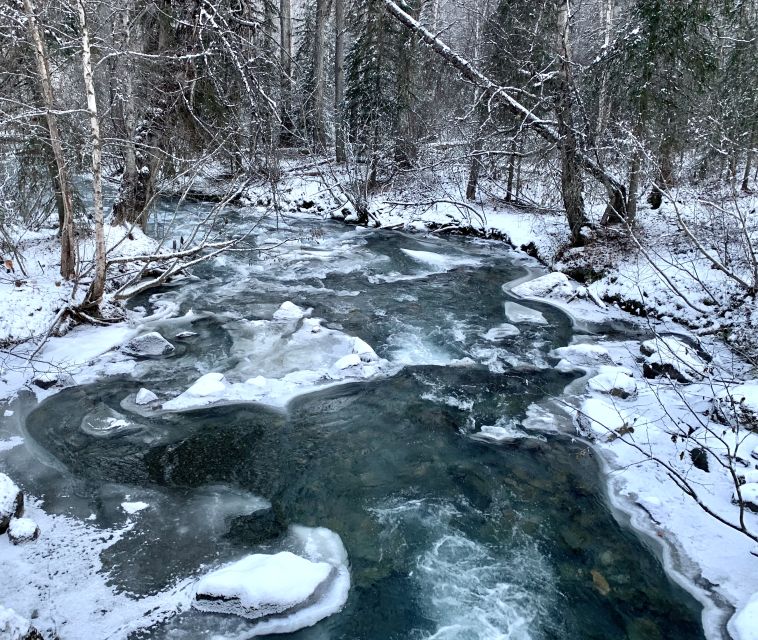 From Anchorage: Chugach State Park Winter Walking Tour - Chugach State Park and Anchorage Departure