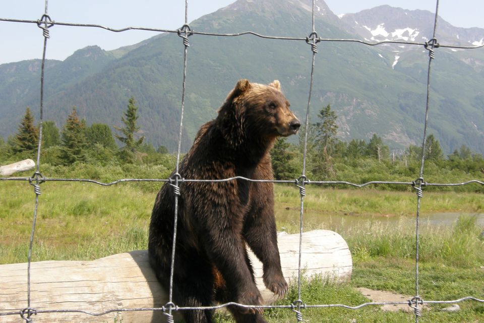 From Anchorage: Portage Glacier and Wildlife Full-Day Tour - Wildlife Conservation Center