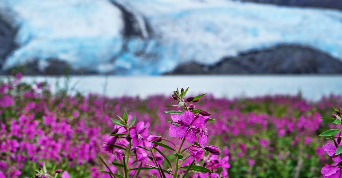 From Anchorage: Valley of Glaciers & Wildlife Center Tour - Small Group Tour Experience