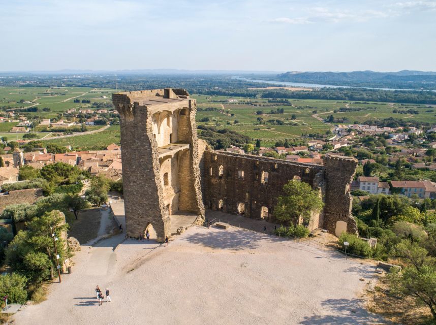 From Avignon: Avignon & Châteauneuf Du Pape Wine Tour - Wine Tasting in Châteauneuf Du Pape