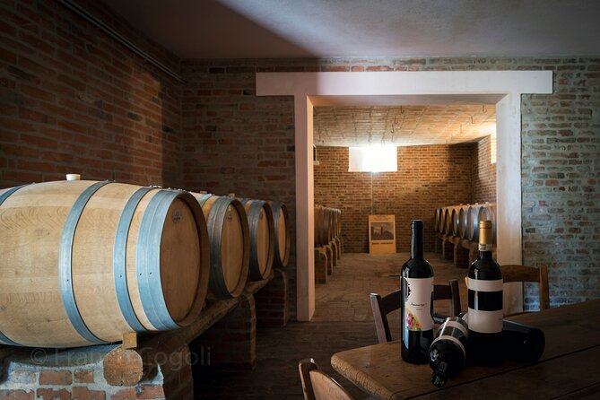 From Bologna: Wine Tasting and Vineyard Tour With the Winemaker - Cancellation and Booking Policies