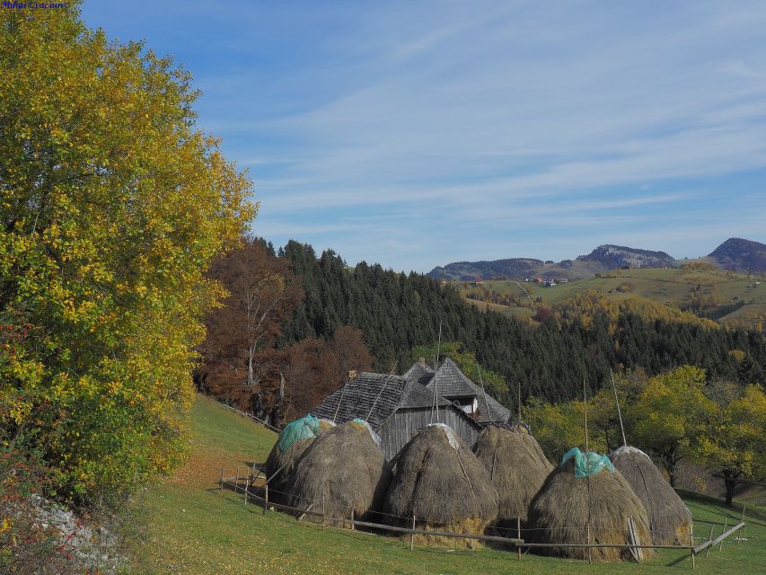 From Brasov: Romanian Mountain Villages Day Tour - Customer Reviews and Ratings