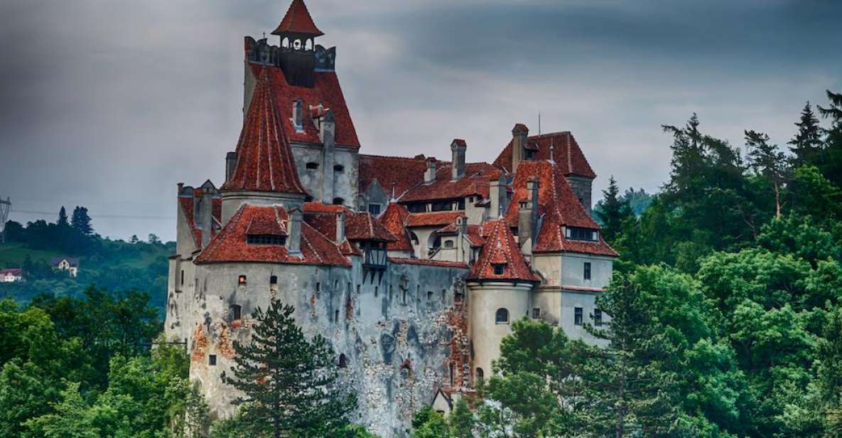 From Bucharest: Peleș and Bran Castles Private Tour - Customer Experience