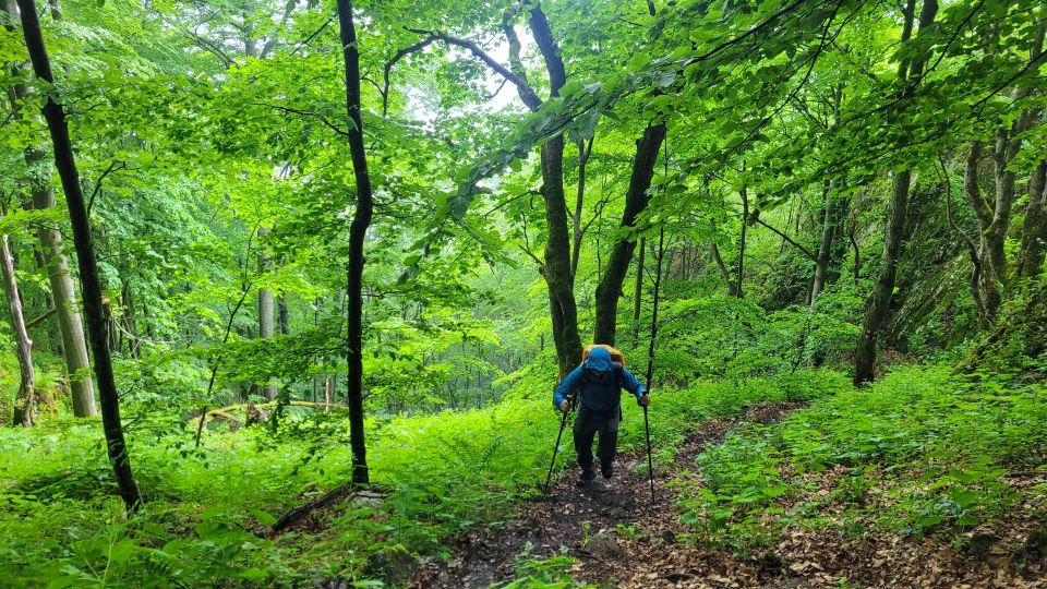 From Cluj-Napoca: Apuseni Mountains Hiking Guided Day Tour - Group Size and Fitness Requirements