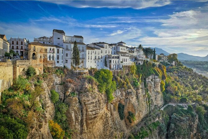 From Costa Del Sol: Ronda and Setenil De Las Bodegas - Traveler Reviews and Feedback