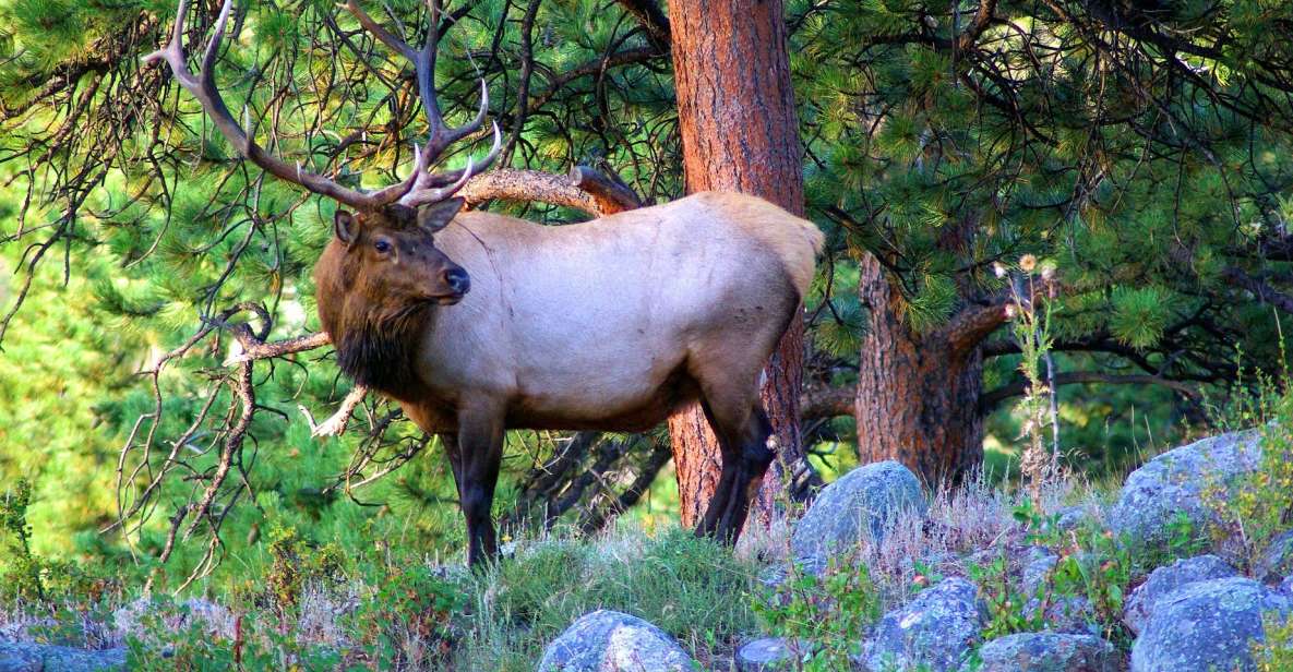 From Denver: Hike the Rockies Tour - What to Bring and Important Information