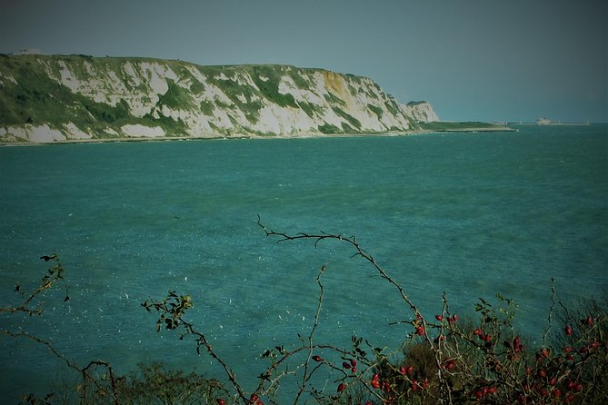 From Dover Cruise Ship; Grand Tour of White Cliffs Country & Back - Duration, Availability, and Start Time