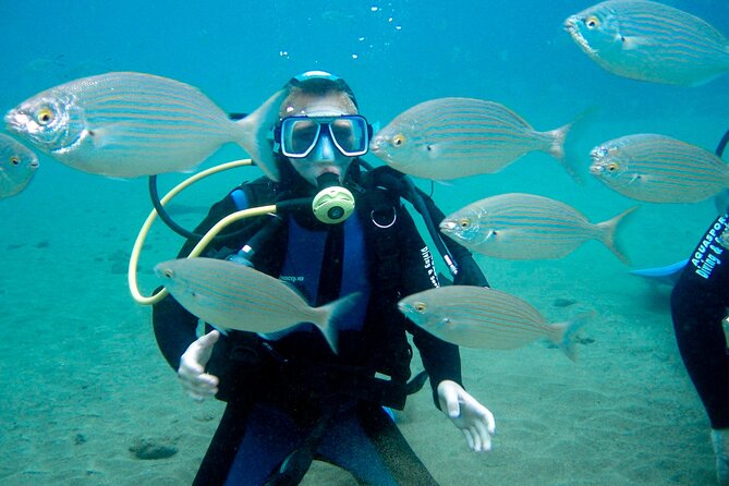 From Dubai: Discovery Scuba Diving Trip in Fujairah - Underwater Pictures