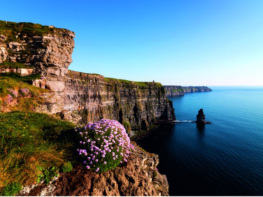 From Dublin: Cliffs of Moher Small Group Tour - Important Information