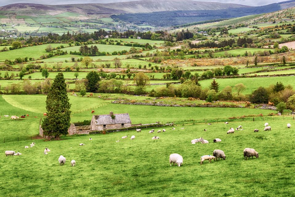 From Dublin: Wicklow Mountains, Glendalough & Kilkenny Tour - Important Information