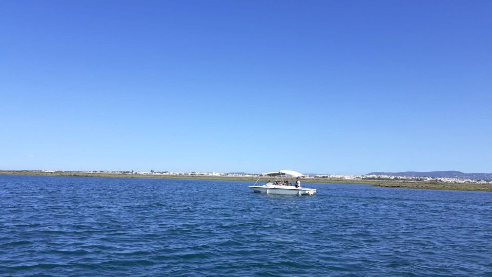 From Faro: Ria Formosa Eco-friendly Solar Boat Tour - Preparation and Recommendations