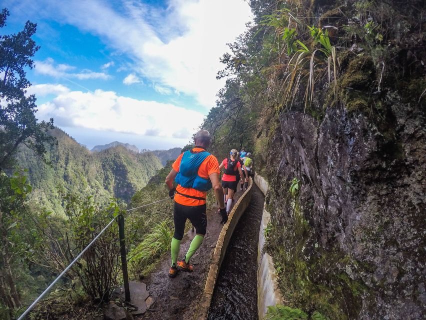 From Funchal: Easy to Moderate Green Levada Running Tour - Tour Details