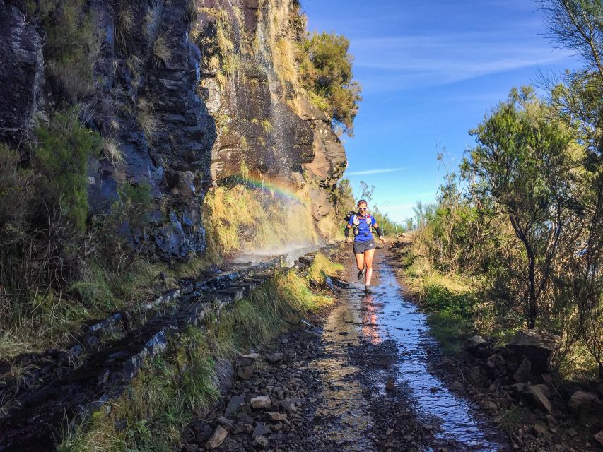 From Funchal: Folhadal Trail Running Tour (Moderate) - Included in the Tour