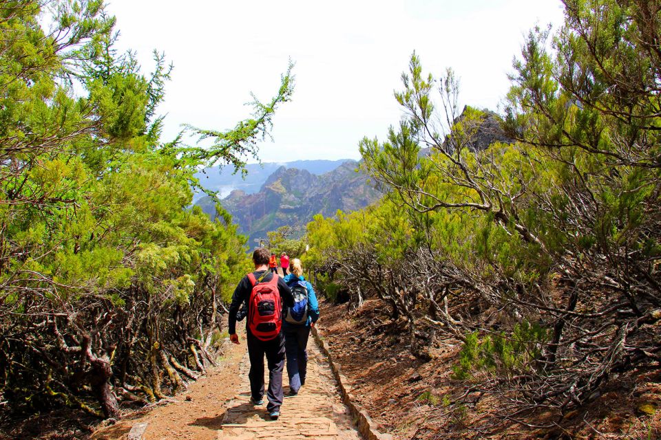 From Funchal: Madeira Peaks Mountain Walk - Pickup and Transportation