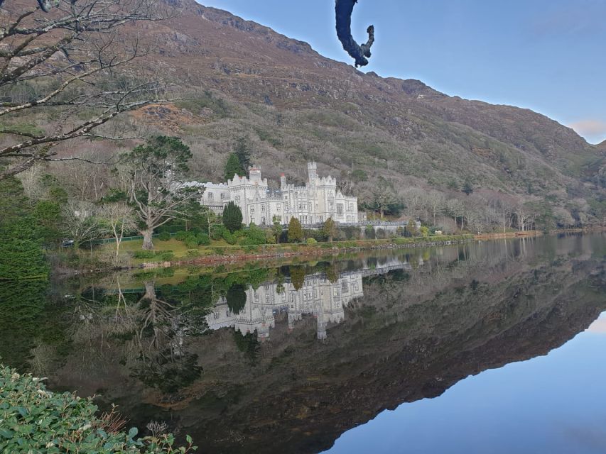 From Galway: Connemara and Kylemore Abbey Day Tour - Customer Reviews