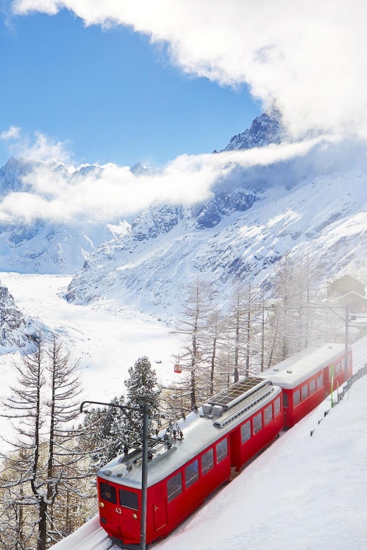 From Geneva: Independent Half-Day to Chamonix Mont-Blanc - Important Considerations