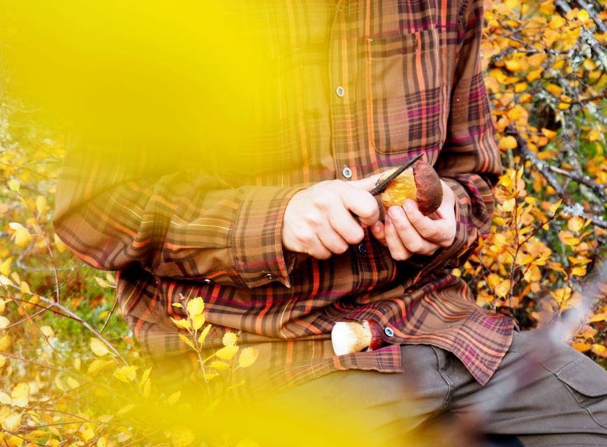 From Helsinki: Mushroom Hunting Tour in a National Park - Foraging for Mushrooms