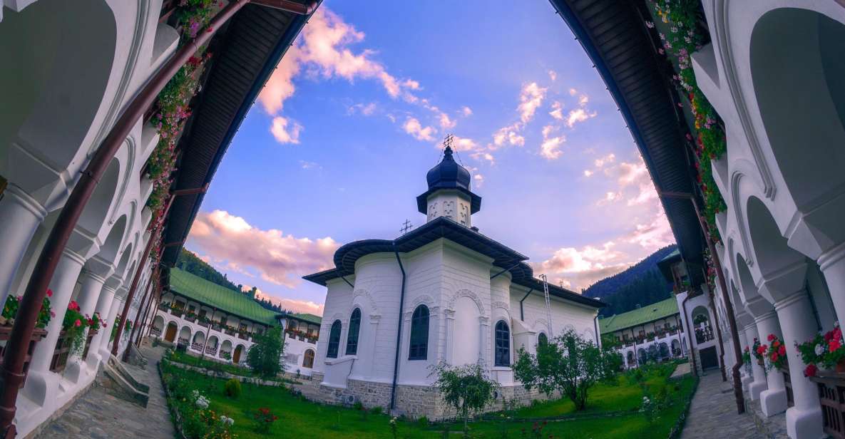 From Iasi: Rural Experience Fortress & Bison Reservation - Bison Reservation