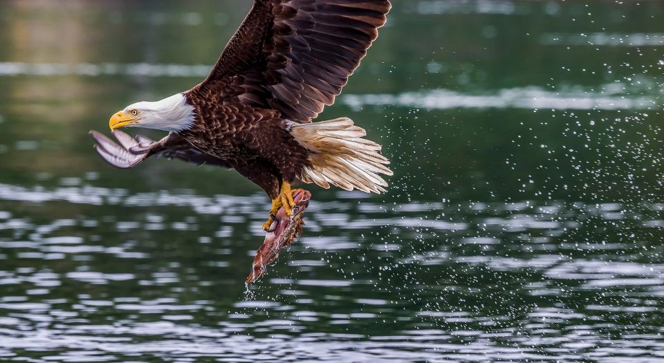 From Jackson Hole: Snake River Float With Scenic Teton Views - Booking and Availability Details