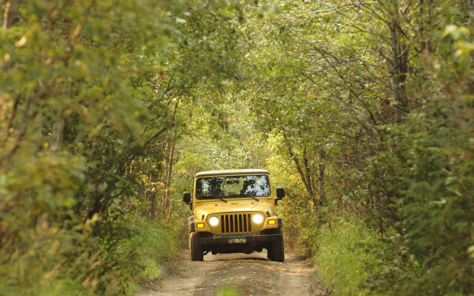 From Kemer: Taurus Mountains Jeep Safari - Mountain Wildlife Spotting