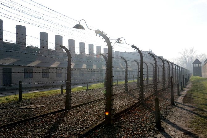 From Krakow: Auschwitz-Birkenau Guided Tour (Hotel Pick Up) - Accessibility and Additional Info