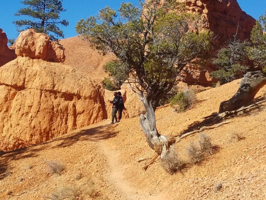 From Las Vegas: Zion and Bryce Canyon Guided Day Tour - Driving Zion-Mt. Carmel Highway