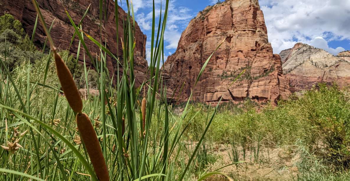 From Las Vegas: Zion National Park Small Group Adventure - What to Bring and Know