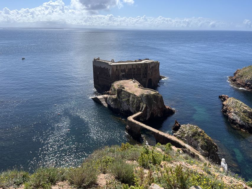 From Lisbon: Berlenga Grande Sightseeing Tour - Hiking Island Trails