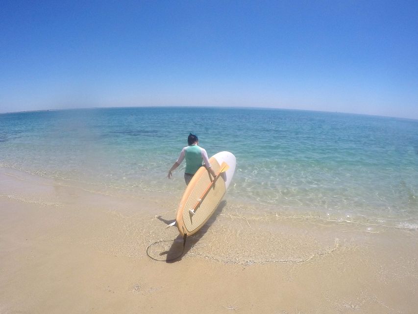 From Lisbon: Nature Park of Arrábida Paddleboarding - Explore Marine Reserve