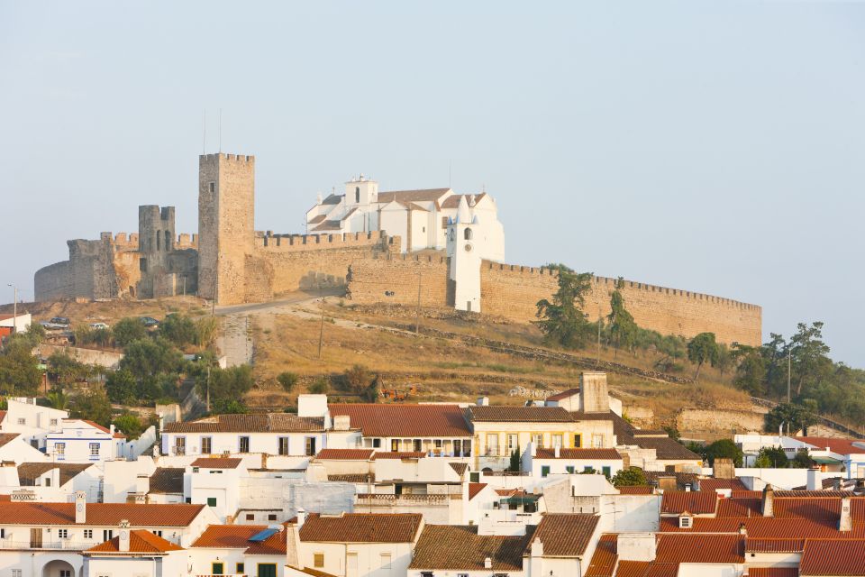 From Lisbon: Private Customized Small-Group Tour to Evora - Roman Temple of Evora