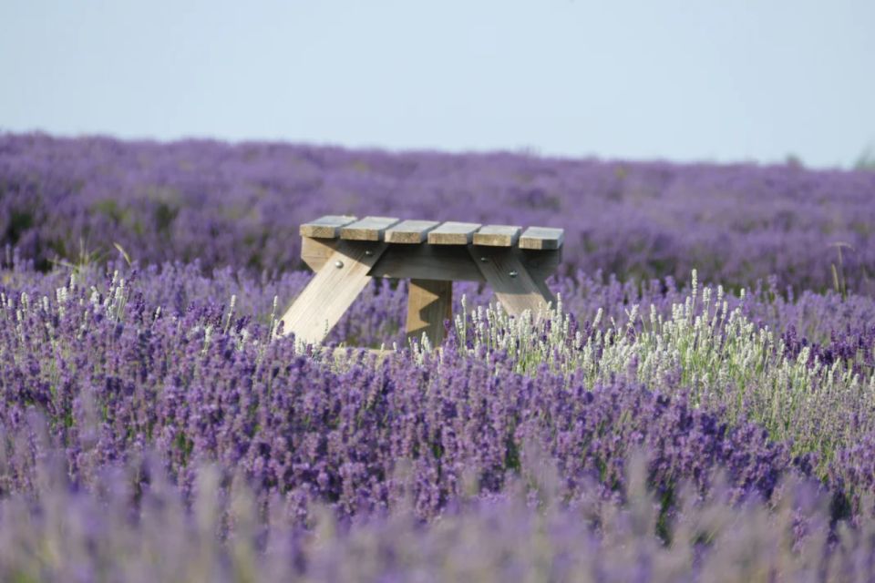 From London: Cotswolds, Country Pub Lunch & Lavender Fields - Country Pub Lunch