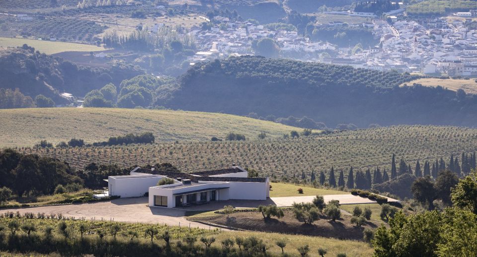 From Málaga: Ronda & Winery Experience With Wine Tasting - Customer Reviews