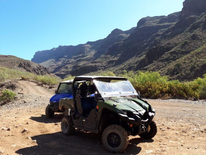 From Maspalomas: Volcanic Landscapes 4-Seater Buggy Tour - Things To Known