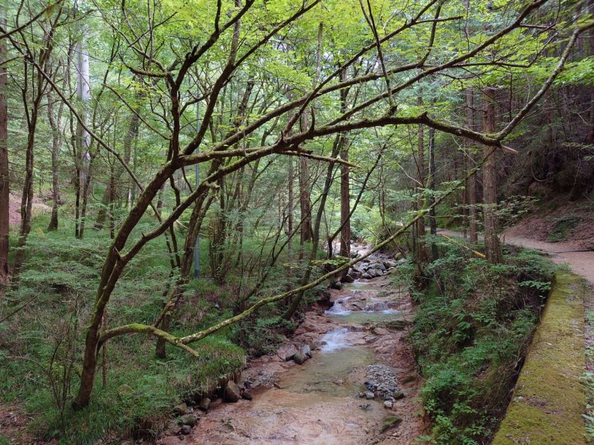 From Matsumoto/Nagano: Nakasendo Trail Walking Tour - Inclusions and Exclusions