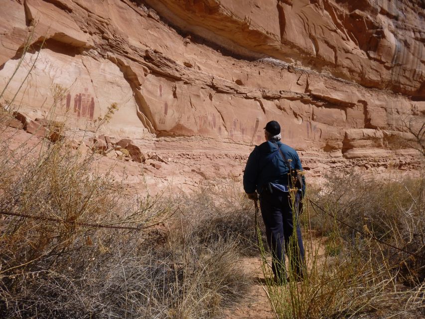 From Moab: 1-Day Horseshoe Canyon Exploration - The Great Gallery