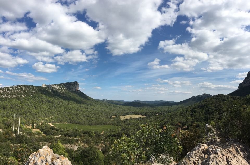 From Montpellier: Half-Day Vineyard & Pic Saint-Loup Tour - Wine Tasting Experience