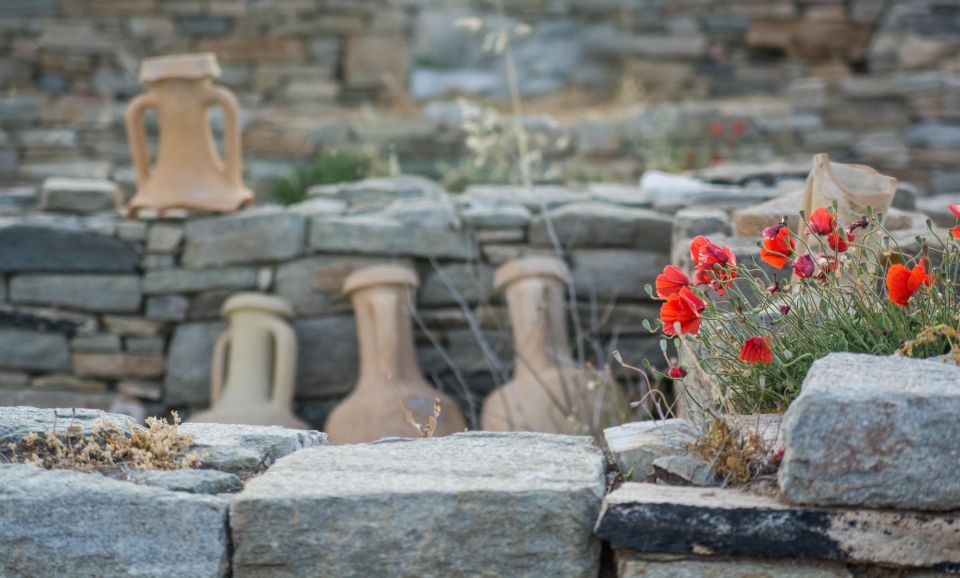 From Naxos: Delos and Mykonos Day Trip With Licensed Guide - Meeting Point and What to Bring