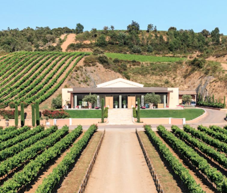 From Nice: Château Vaudois Private Tour With Picnic Lunch - Château Vaudois Wine Tasting