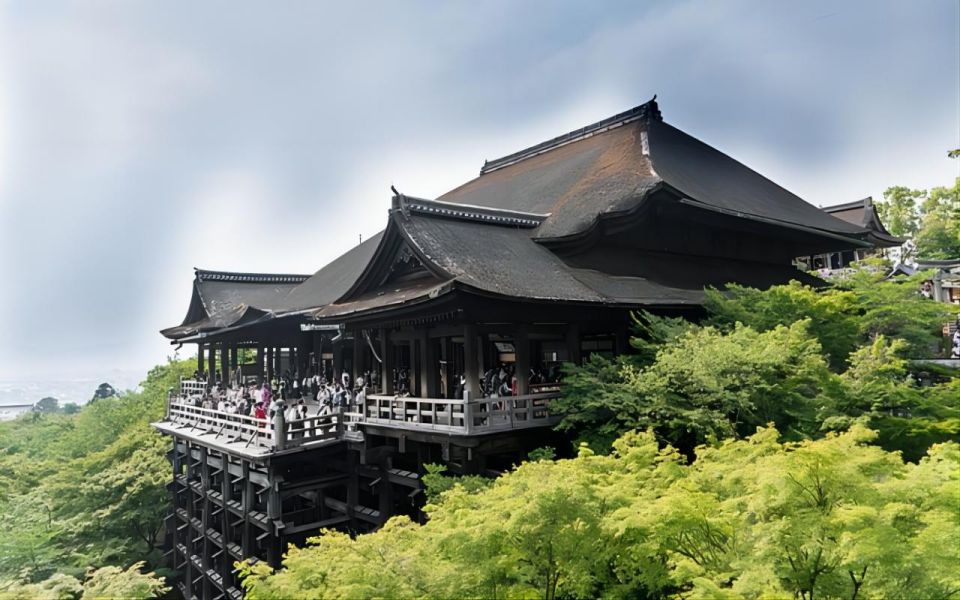 From Osaka: 10-hour Private Custom Tour to Kyoto - Customer Feedback