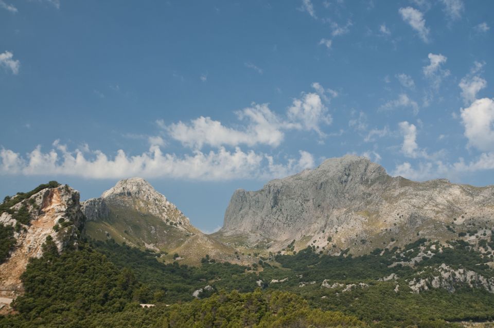 From Palma: Serra Tramuntana and Lluc Monastery Guided Tour - Key Stops